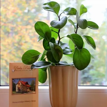 Perla Polanicy Polanica-Zdroj